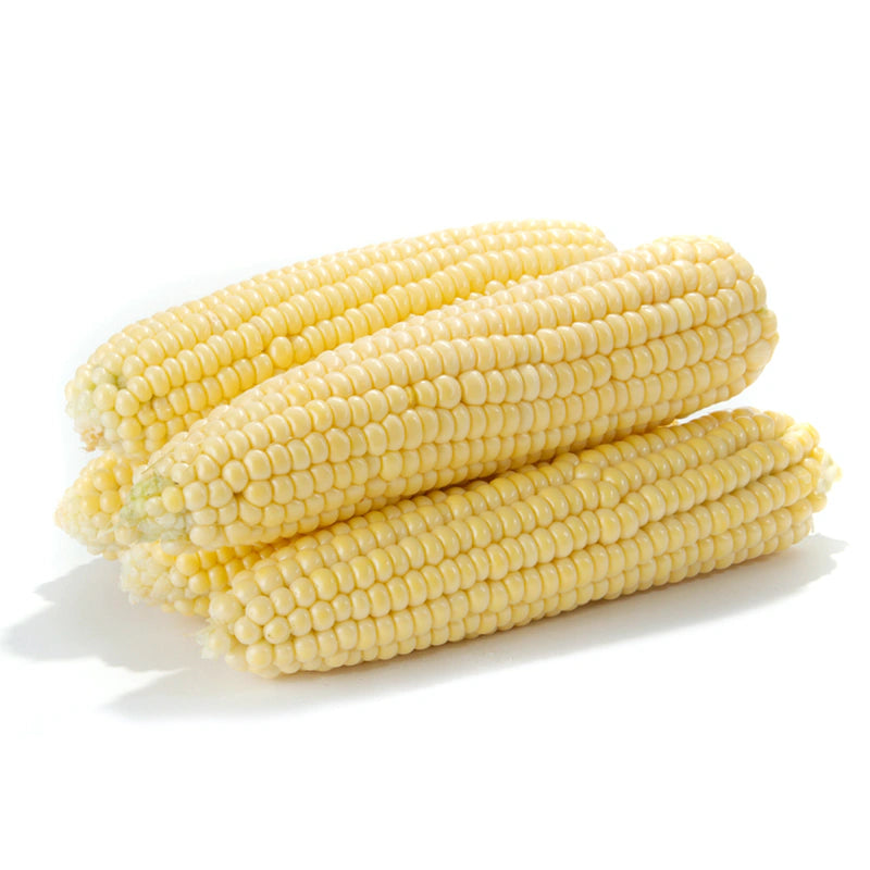 Organic Sweet Corn – Fresh, Tender & Naturally Sweet Tryambakam Dairy And Agro Products