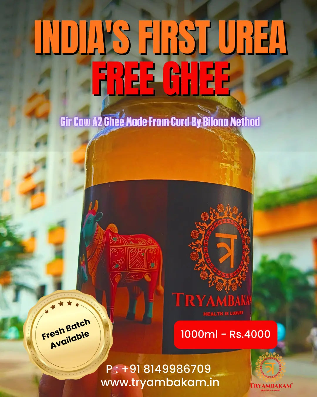 Vedic Bilona Gir Cow A2 Ghee Tryambakam Dairy And Agro Products