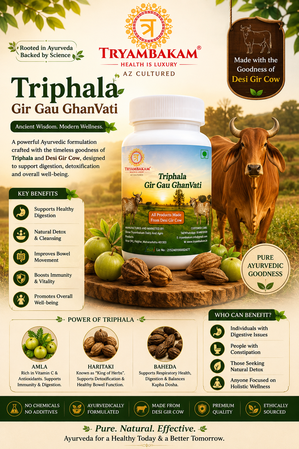Triphala Gir Gau Ghanvati