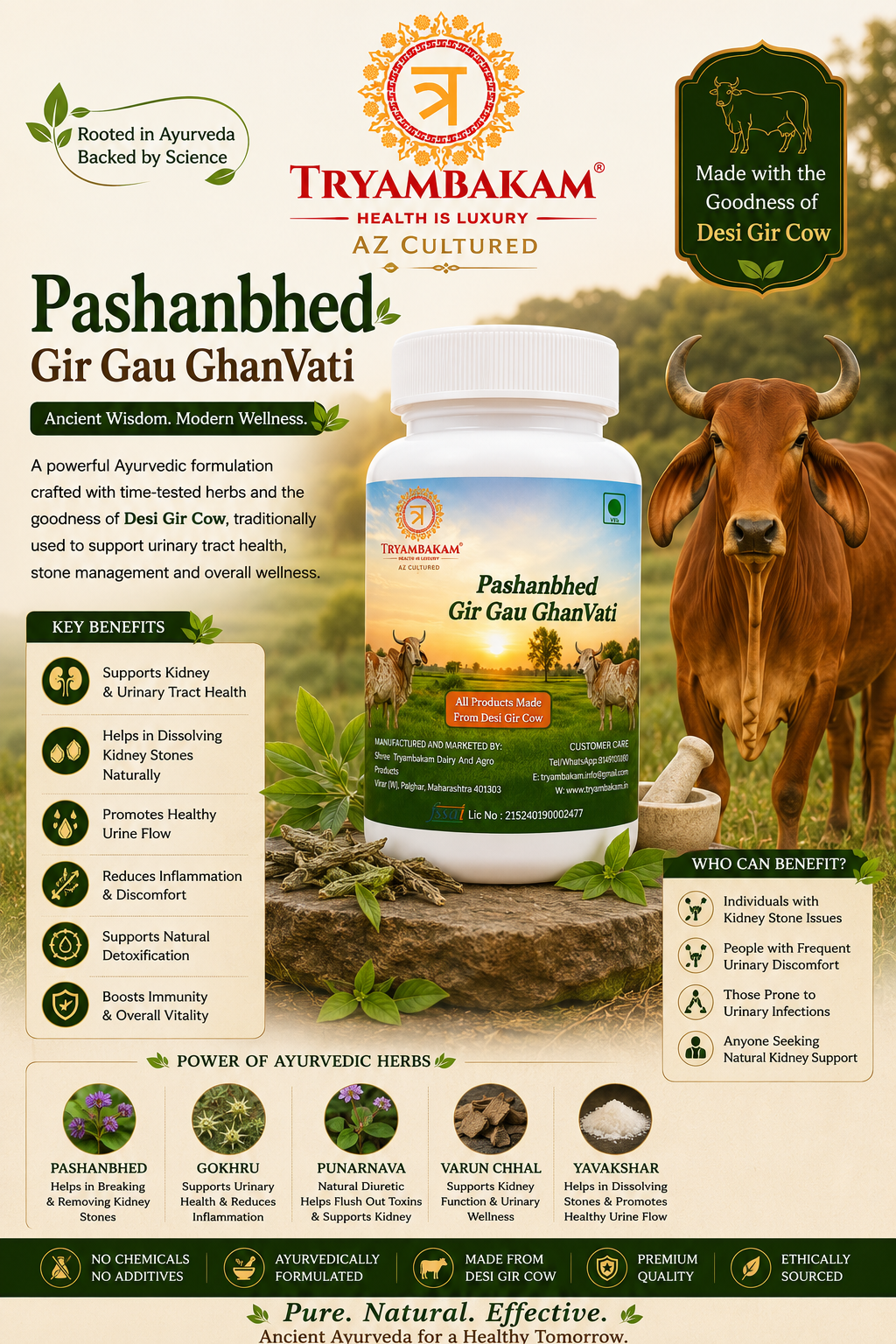 Pashanbhed Gir Gau Ghanvati
