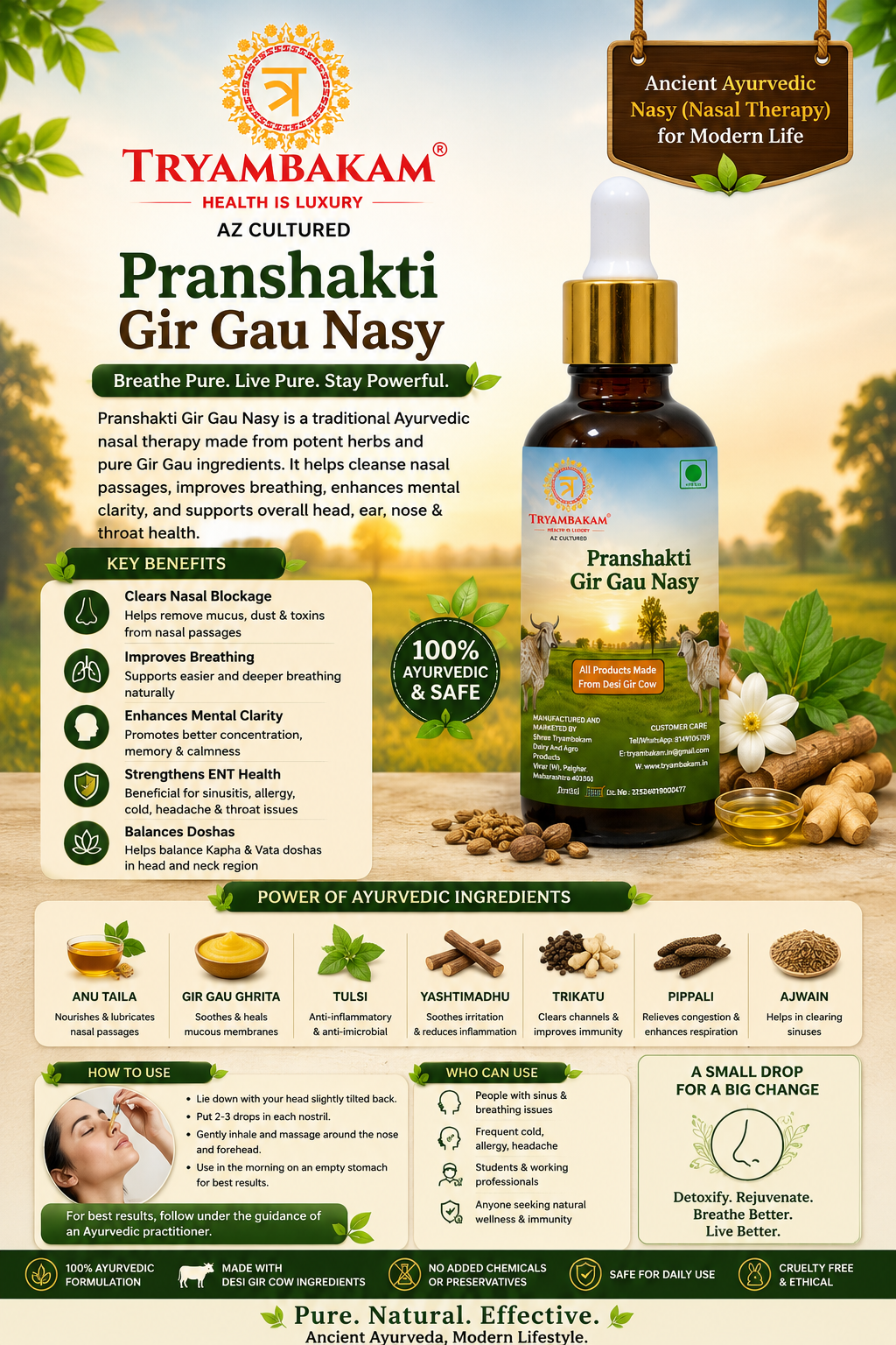 Pranshakti Gir Gau Nasy Tryambakam Dairy And Agro Products