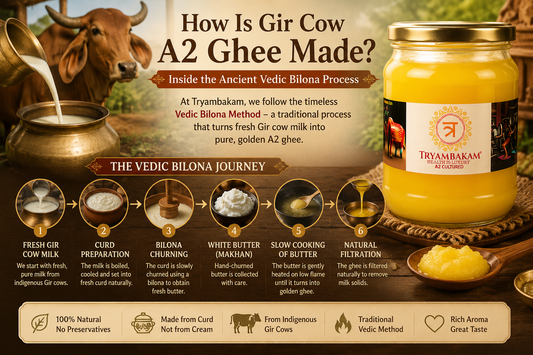 How Is Gir Cow A2 Ghee Made? Traditional Vedic Bilona Method Explained | Tryambakam Tryambakam Dairy And Agro Products