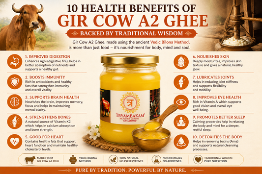 10 Health Benefits of Gir Cow A2 Ghee Backed by Traditional Wisdom | Tryambakam Tryambakam Dairy And Agro Products