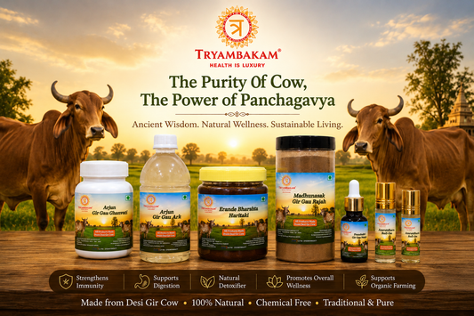 Panchagavya: Ancient Indian Wellness Practices Explained | Tryambakam Tryambakam Dairy And Agro Products