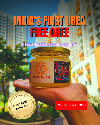 Vedic A2 Bilona Gir Cow Ghee 250ml