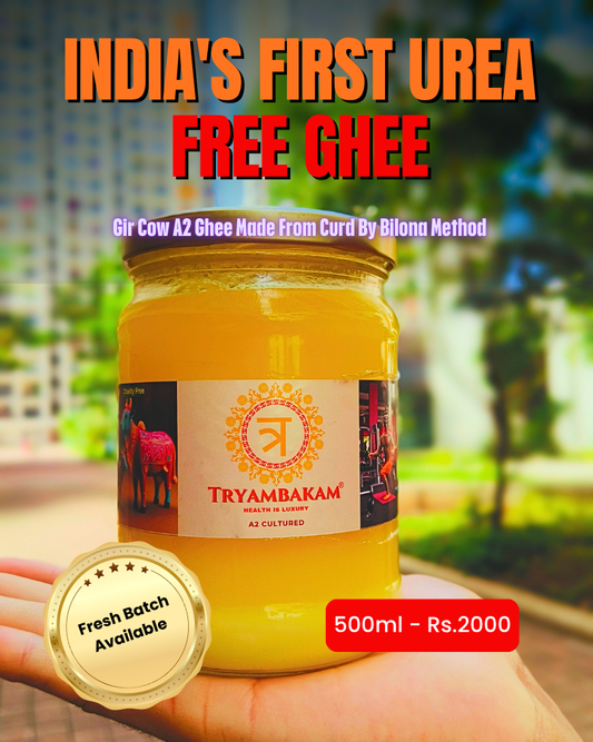 Vedic A2 Bilona Gir Cow Ghee 500ml