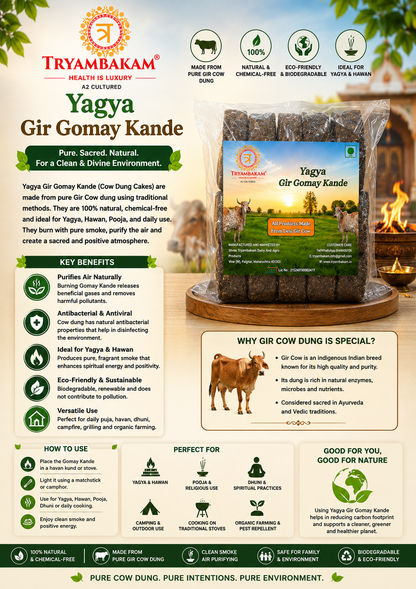Yagya Gir Gomay Kande Tryambakam Dairy And Agro Products