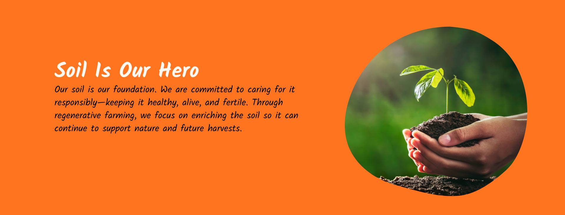 Orange background with text 'Soil Is Our Hero' and a hand holding soil with a plant growing, on an orange background.