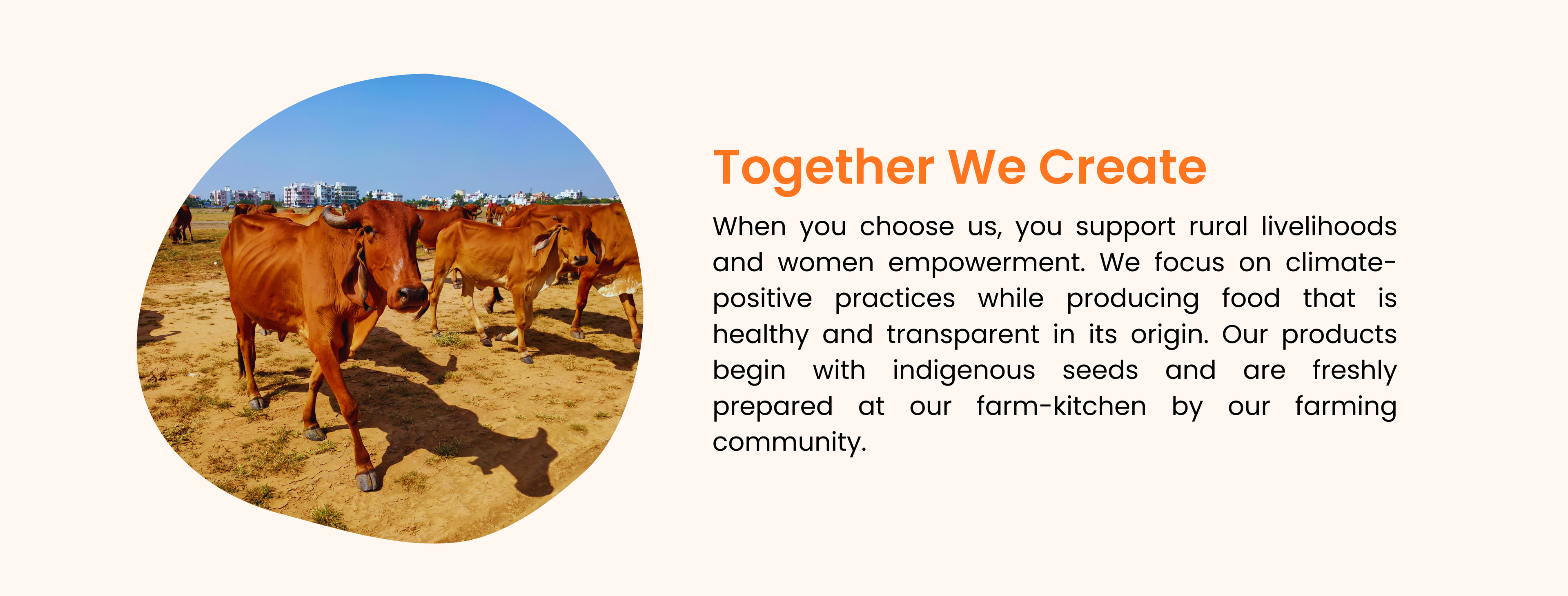 Cows in a field with text about rural livelihoods and women empowerment.